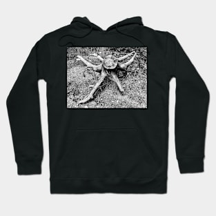 Six-armed Deadwood Bandit Hoodie